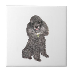 Poodle - Toy /Miniature Silver Tile