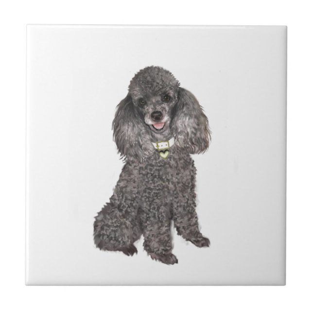 Poodle - Toy /Miniature Silver Tile (Front)