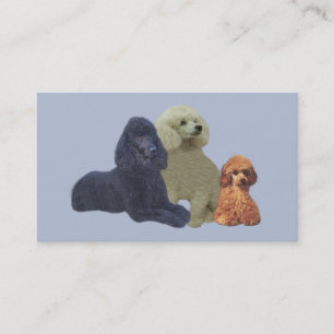 Poodle Trio Business Card