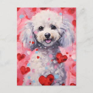 Poodle Valentines day Postcard