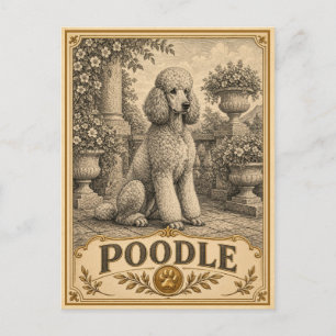 Poodle, Vintage Heritage Dog Postcard