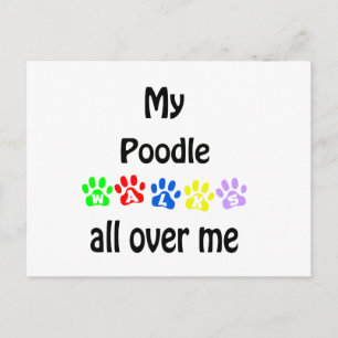 Poodle Walks Design Postcard