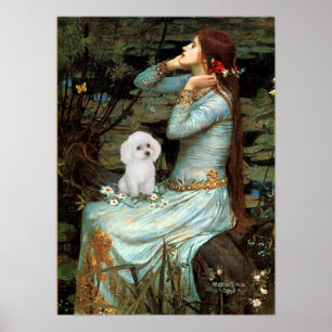 Poodle (White Toy) - Ophelia Seated Poster