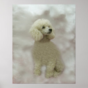 Poodles Are Heavenly Print