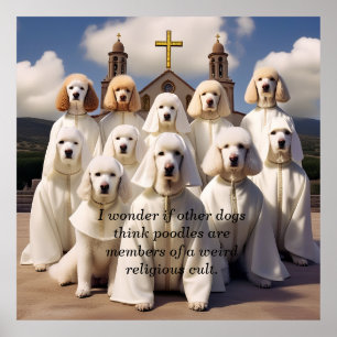 poodles are members of a weird religious cult. poster