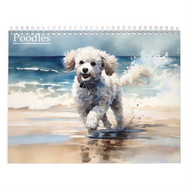 Poodles Calendar, any year Calendar (Cover)