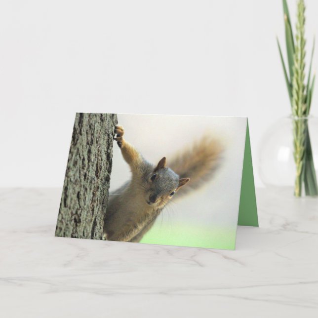 Poof Card (Front)