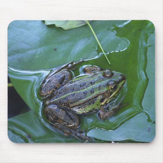 Pool Frog, Amperauen, Germany Mouse Pad (Front)