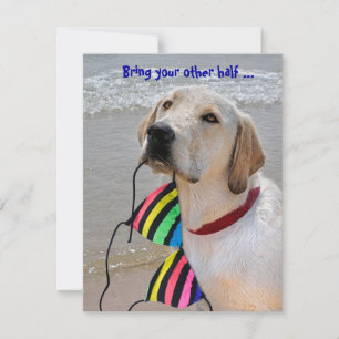 Pool Party Humour Invitation