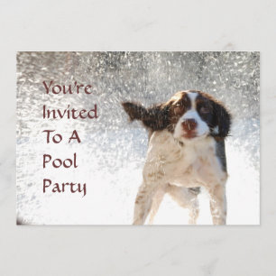 Pool Party Invitations
