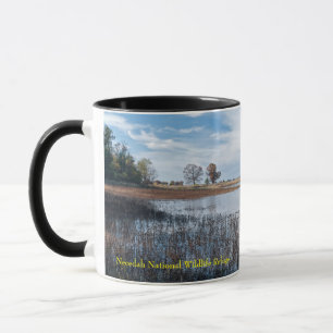 pools and marshes at necedah mug
