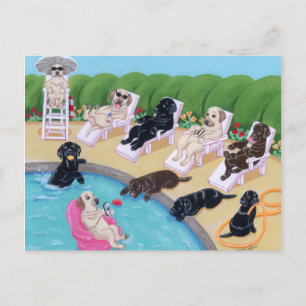 Poolside Party Labradors Painting Postcard