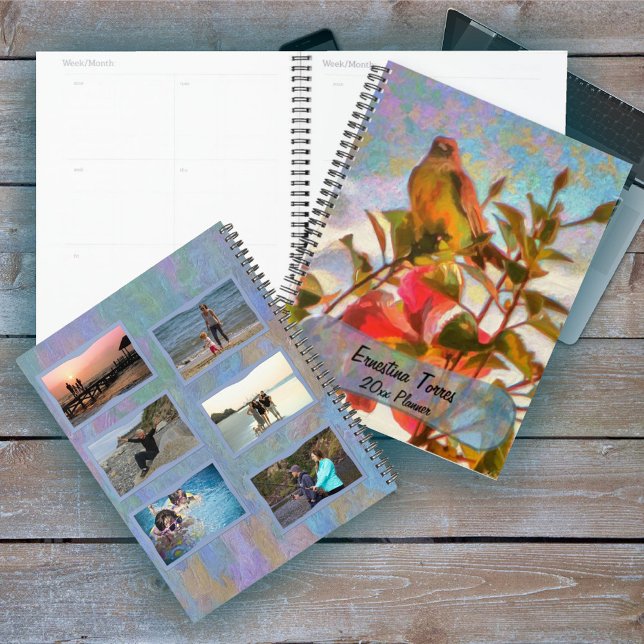 Poolside Singer 2338 Planner (Creator Uploaded)