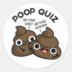 Poop Quiz Funny Poo Pun  Classic Round Sticker