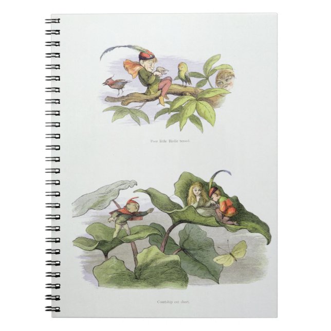 Poor little Birdie teased, and Courtship cut short Notebook (Front)