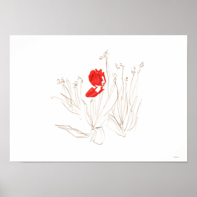 Poor lovely tulip poster (Front)