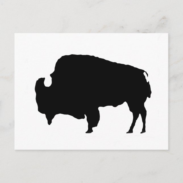 Pop Art Black & White Buffalo Silhouette Postcard (Front)