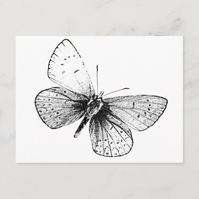 Pop Art Butterfly Postcard (Front)