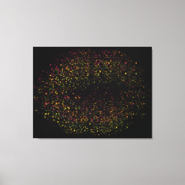 Pop Art Colourful Lips Canvas Print (Front)