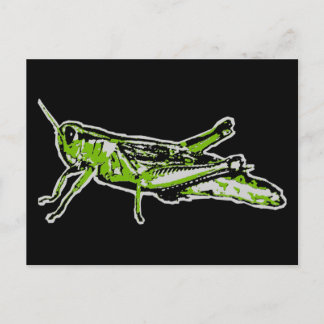 Pop Art Green Grasshopper Postcard