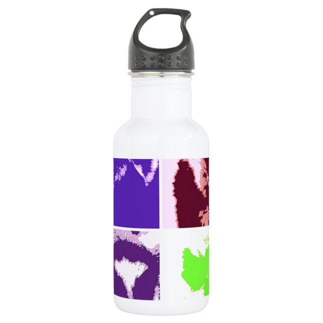 Pop Art Lemurs 532 Ml Water Bottle (Front)