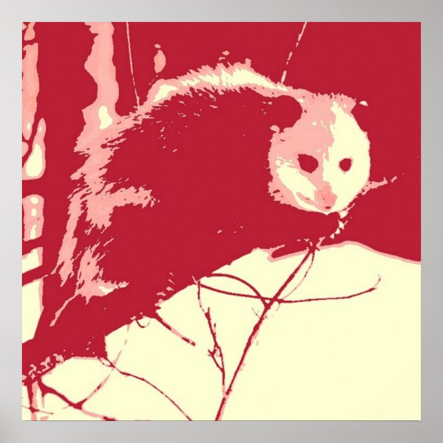 Pop Art Opossum Poster (Front)
