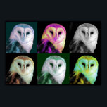 Pop Art Owl Poster<br><div class="desc">Great looking poster print done in a pop art style,  with a barn owl in 6 different colours. Stylish poster and great for any bird lover.</div>