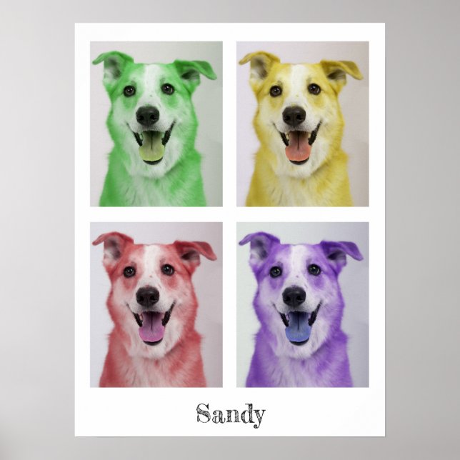 Pop Art Sandy Poster (Front)