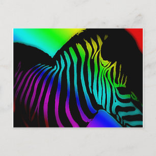 pop art zebra  in neon rainbow colours postcard
