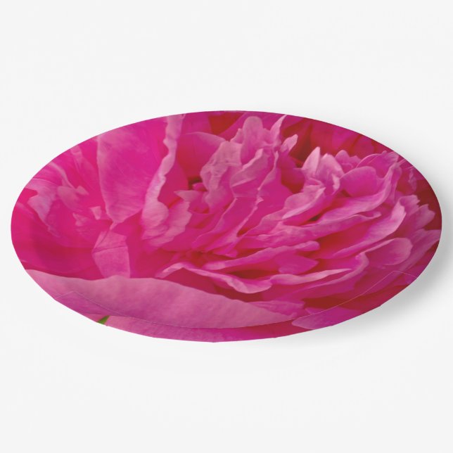 Pop of Pink Peony-Paper Party Plates (Angled)