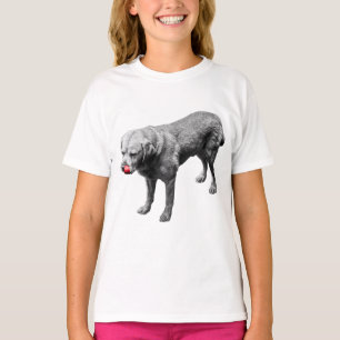 Pop of Play T-Shirt