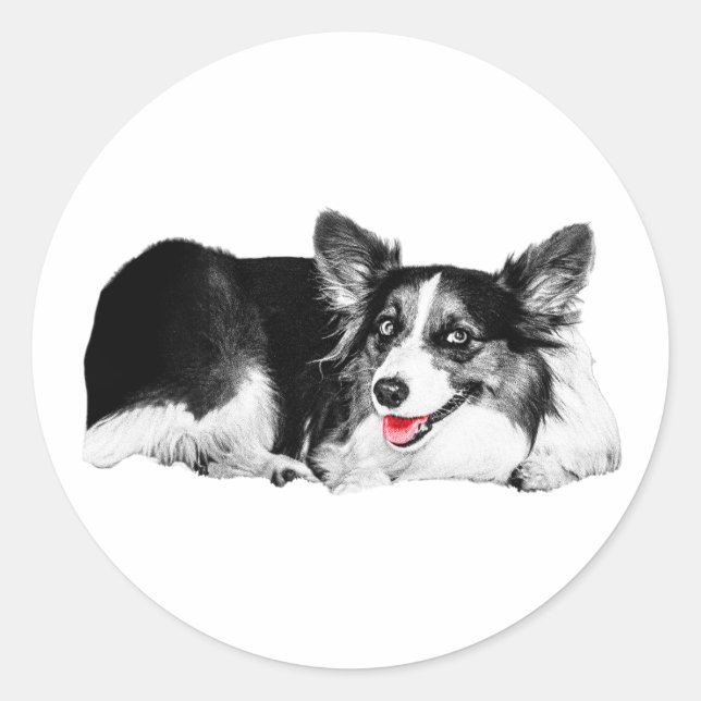 Pop of Red, Pocket of Joy Classic Round Sticker (Front)