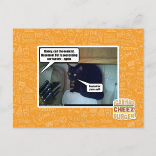 Pop tart for your soul? postcard