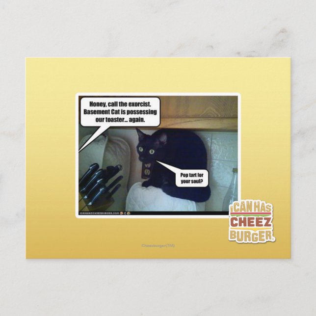 Pop tart for your soul? postcard (Front)