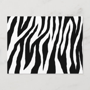 Pop Zebra Postcard