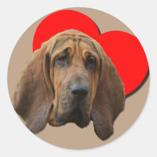 PopArt Colourful Bloodhound Heart Love Art Classic Round Sticker