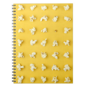 Popcorn Kernels Notebook