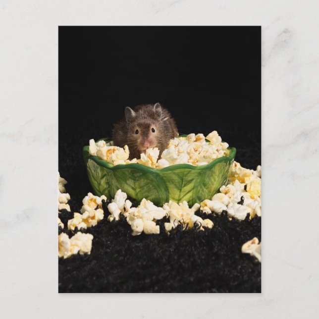 Popcorn lover postcard (Front)