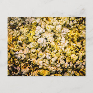 Popcorn Postcard
