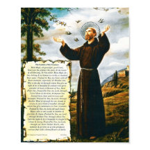 Pope Francis Canticle of the Creatures St Francis