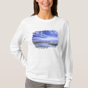 POPHAM BEACH STATE PARK, MAINE. USA. Cirrus T-Shirt