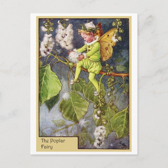 Poplar Fairy Postcard (Front)