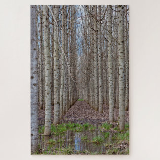 Poplar Grove Jigsaw Puzzle