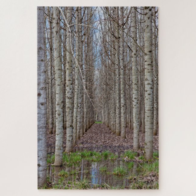 Poplar Grove Jigsaw Puzzle (Vertical)
