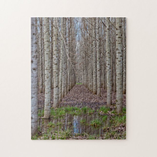 Poplar Grove Jigsaw Puzzle (Vertical)