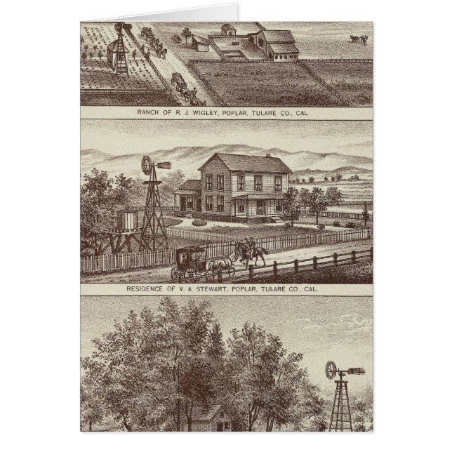 Poplar ranches (Front)
