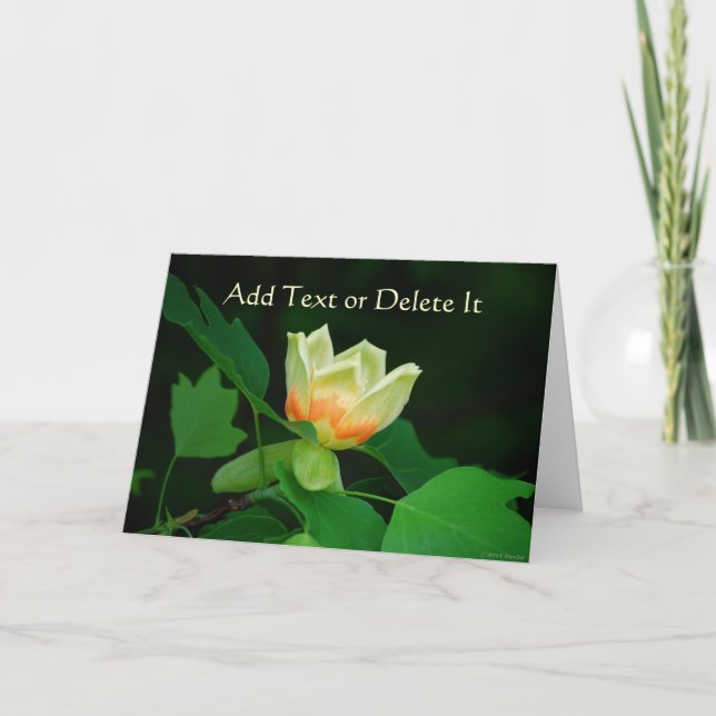 Poplar Tree Tulip card (Front)