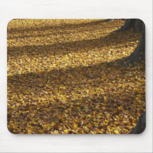 Poplar Trees in Autumn, Lake Wanaka, Otago, Mouse Pad