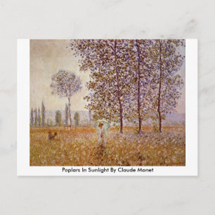 Poplars In Sunlight By Claude Monet Postcard
