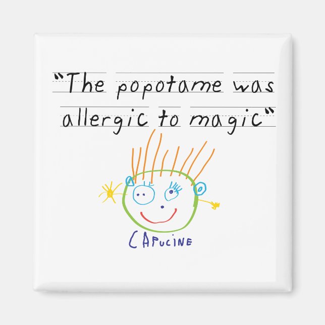 Popotame  magnet (Front)